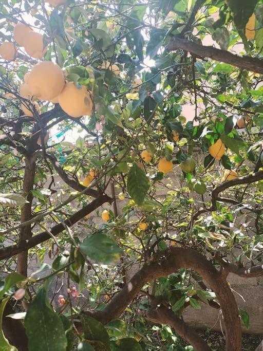 庞贝Nonna Cristina别墅 外观 照片